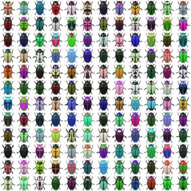 Seamless   pattern  with bugs clipart
