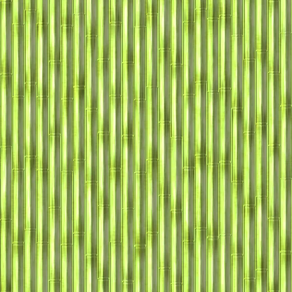 Padrão Bambu Verde Sem Costura — Fotografia de Stock
