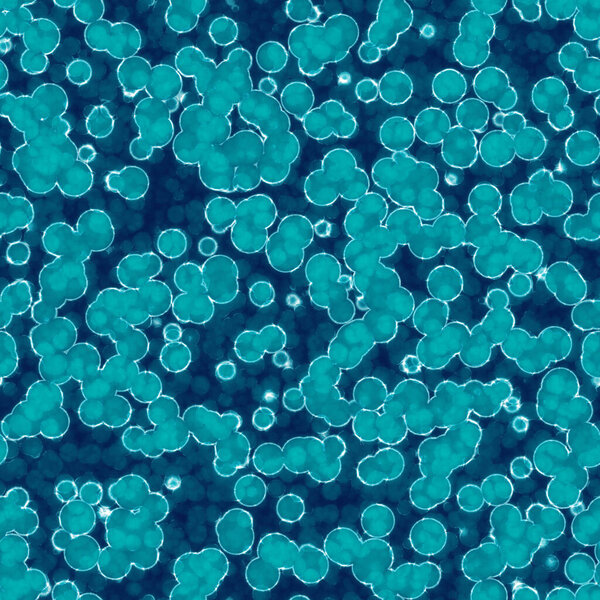 Seamless  cyan microorganisms pattern