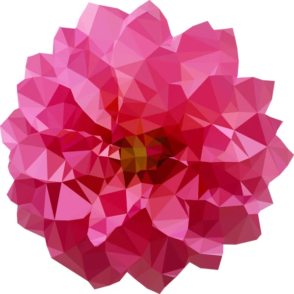 Polygonální Velká Růžová Dahlia — Stockový vektor