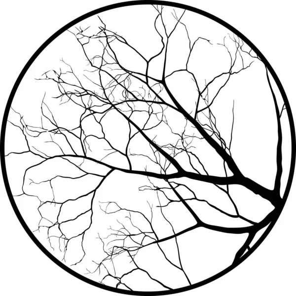 삽화에 나오는 가지들 — 스톡 벡터