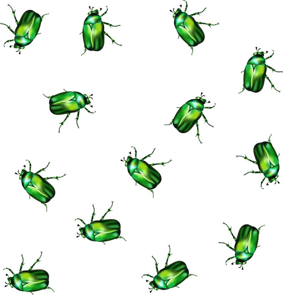 Patrón Sin Costura Con Chafer Esmeralda — Vector de stock