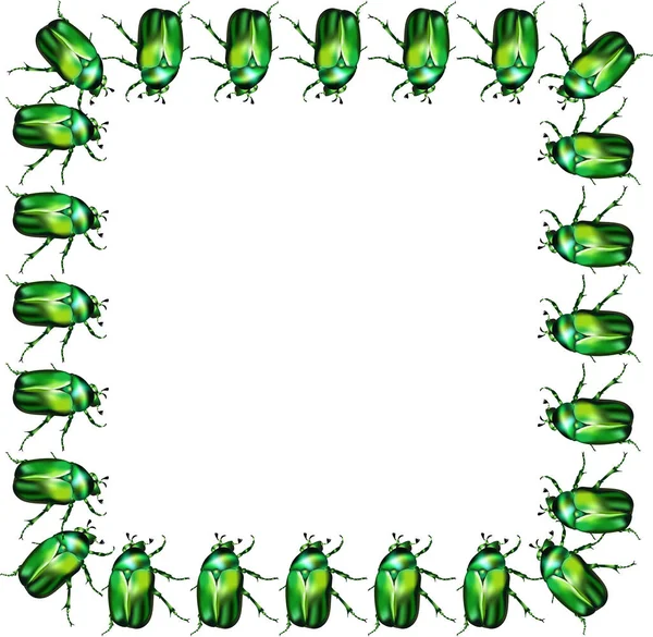 Seamless Pattern Emerald Chafer — Stock Vector