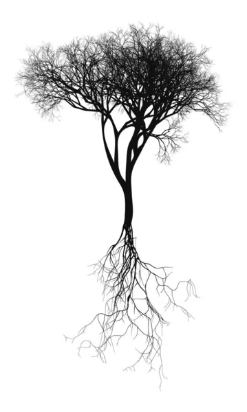 Svart Naturalistiskt Kalt Träd Med Rotsystem Vektor Illustration — Stock vektor