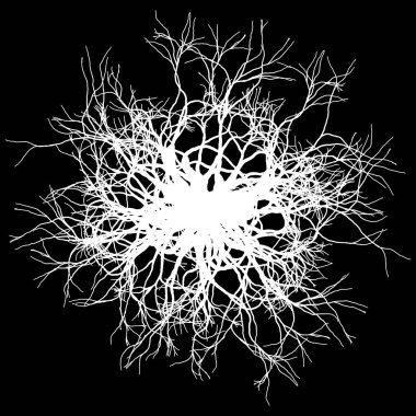 Siyah - vektör illüstrasyonunda yuvarlak kökler