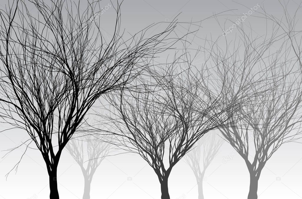 Bare trees in the fog - vector illustration