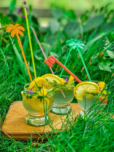 Освежающий Мохито Коктейли Мятой Лимоном Летние Прохладительные Напитки — стоковое фото