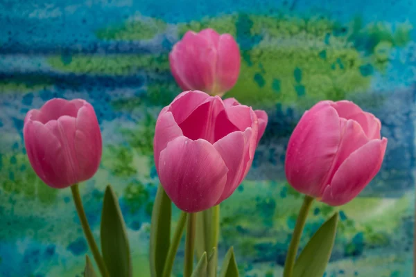 Flores de tulipán rosa sobre el fondo brillante — Foto de Stock