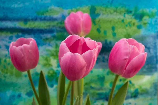 Розовый тюльпан цветы на ярком фоне — стоковое фото