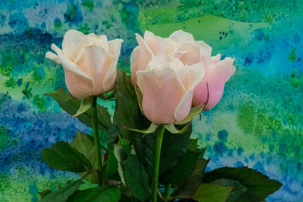 Różowe róże na jasnym tle — Zdjęcie stockowe