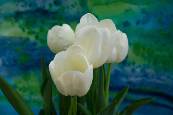 Tulipanes blancos en el fondo brillante — Foto de Stock