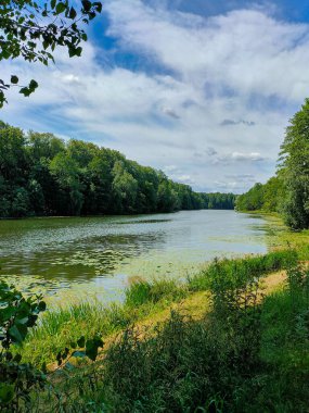 Güneşli bir günde gölet ve odun manzarası çok güzel.