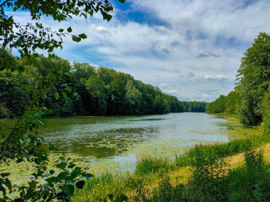 Güneşli bir günde gölet ve odun manzarası çok güzel.