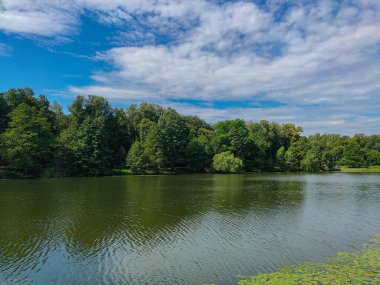Moskova, Rusya 'daki Kuzminki Parkı' ndaki güzel bir orman ve göl manzarası.