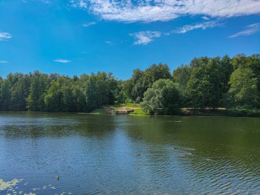 Moskova, Rusya 'daki Kuzminki Parkı' ndaki güzel bir orman ve göl manzarası.