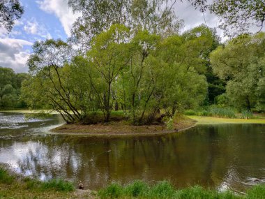 Bulutlu bir günde göleti olan yeşil bir parkın manzarası