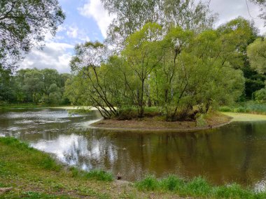 Bulutlu bir günde göleti olan yeşil bir parkın manzarası