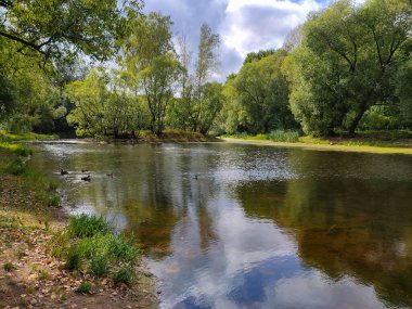 Bulutlu bir günde göleti olan yeşil bir parkın manzarası