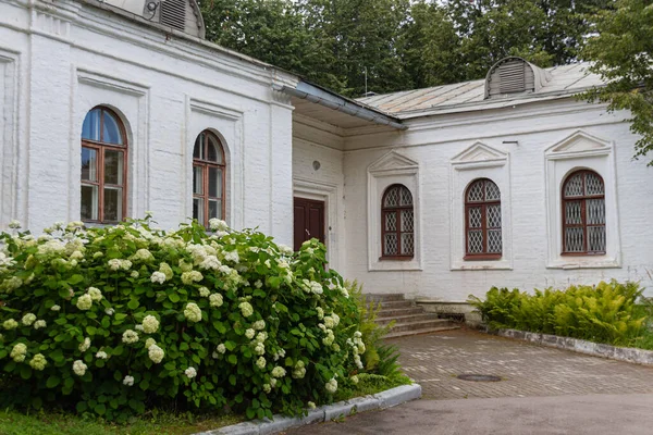 Blocco Riempimento Sul Territorio Izmaylovo Estate Izmaylovo Estate Stata Una — Foto Stock