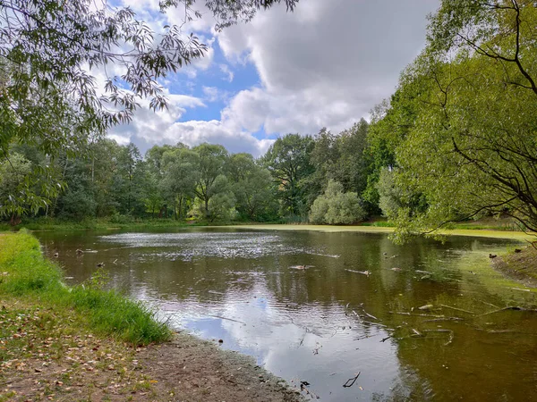 Vue Paysage Parc Verdoyant Avec Étang Par Une Journée Nuageuse — Photo