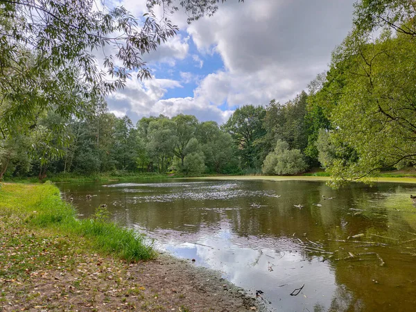 Vue Paysage Parc Verdoyant Avec Étang Par Une Journée Nuageuse — Photo