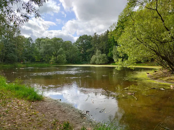 Landscape View Green Park Pond Cloudy Day — Stock Photo, Image