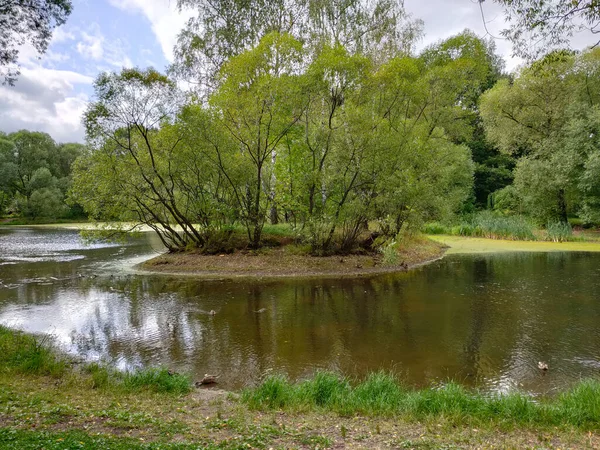 Landscape View Green Park Pond Cloudy Day — Stock Photo, Image