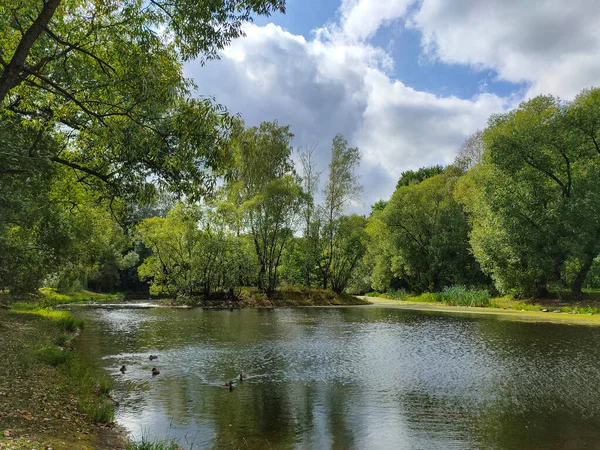Landscape View Green Park Pond Cloudy Day — Stock Photo, Image