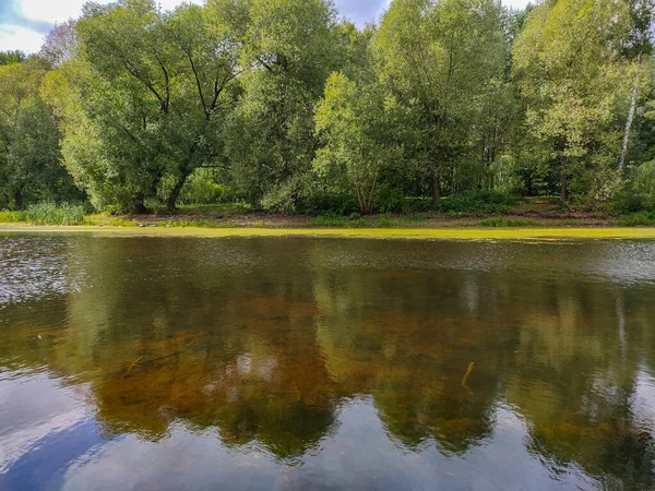 Landscape View Green Park Pond Cloudy Day — Stock Photo, Image