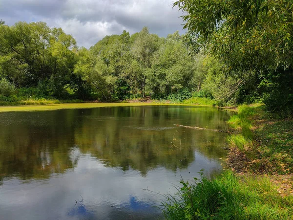 Vista Paisagem Parque Verde Com Lagoa Dia Nublado — Fotografia de Stock