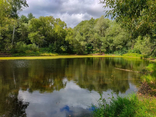 Landscape View Green Park Pond Cloudy Day — Stock Photo, Image