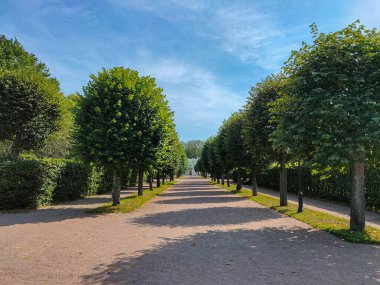 Kuskovo Malikanesi 'ndeki İtalyan evinin önündeki yeşil müttefik Kont Sheremetev' in mülkü..