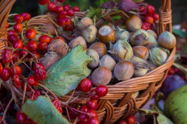 Sonbahar sakin bir hayat