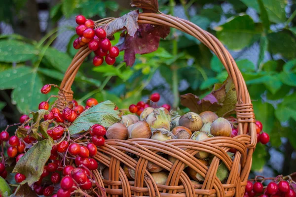 Sonbahar sakin bir hayat