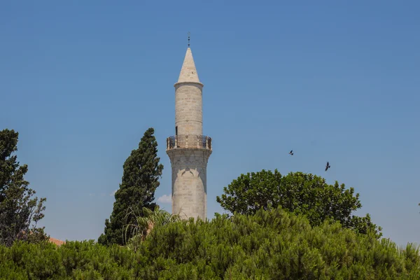 Kebir Meczet, Larnaca, Cypr — Zdjęcie stockowe