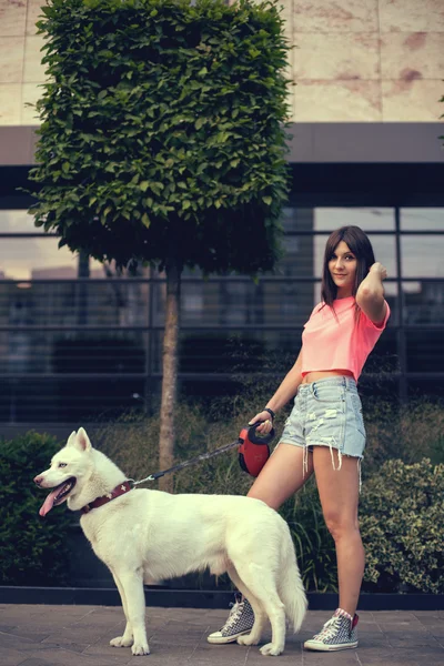 Hermosa feliz joven mujer en pantalones cortos con blanco husky perro — Foto de Stock