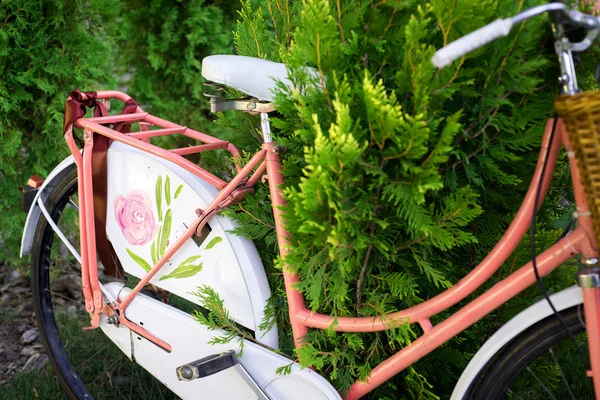 Rosa Fahrrad mit Blumenkorb — Stockfoto