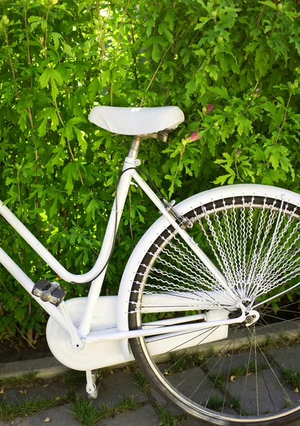 Bicicleta blanca vintage con cesta de flores — Foto de Stock