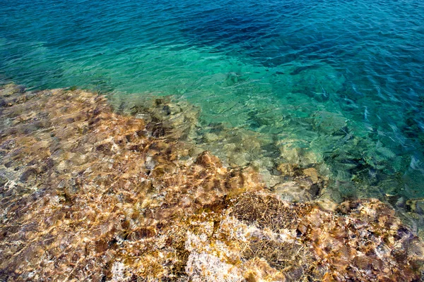 Agua clara transparente y piedras con reflejo de la luz solar — Foto de Stock