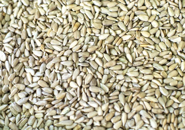 Sunflower seeds background — Stock Photo, Image