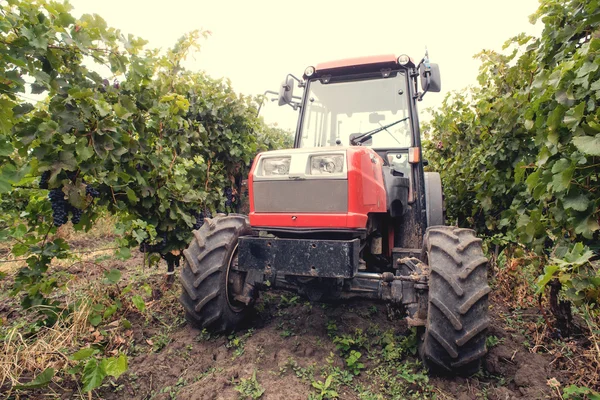 Вид на виноградник с грузовиком — стоковое фото