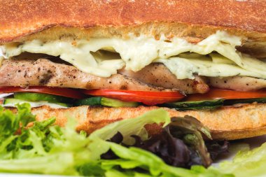 Tavuk sandviç kapatın