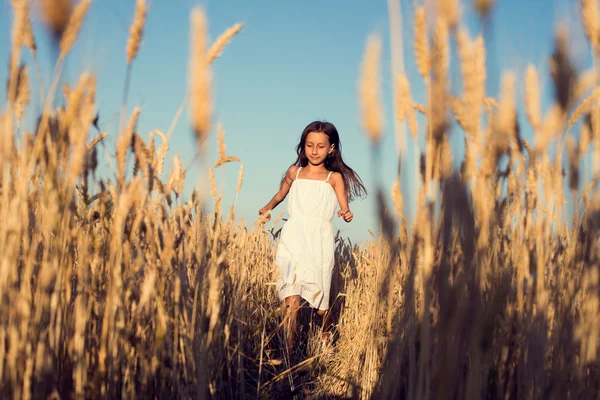 Adorable niña jugando en el campo de trigo en un cálido día de verano —  Fotos de Stock