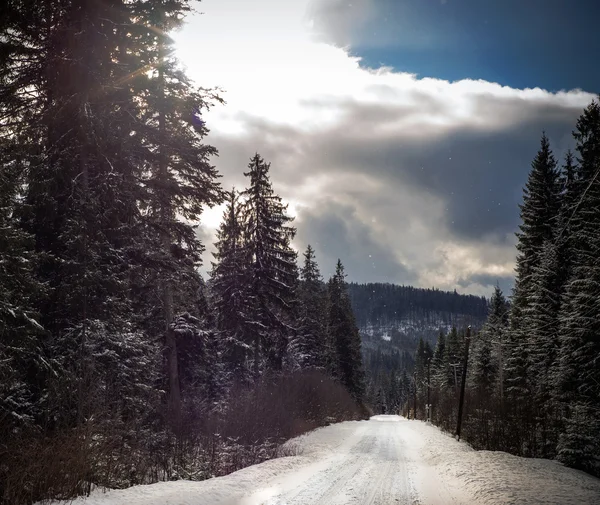 高山路与雪 — 图库照片