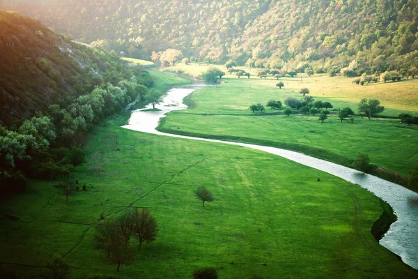 一个美丽的绿色自然保护区的河流. — 图库照片