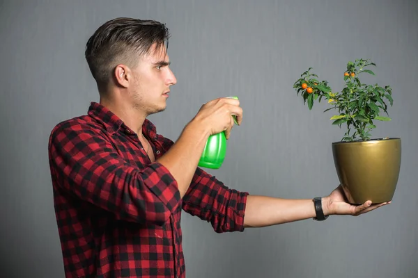 Молодой человек распыляет цветы, изолированные на сером — стоковое фото