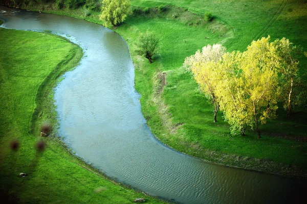 Fluss in einem wunderschönen grünen Naturschutzgebiet. — Stockfoto