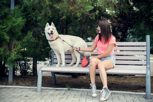 Chica joven sentada en el banco y jugando con su perro blanco husky —  Fotos de Stock