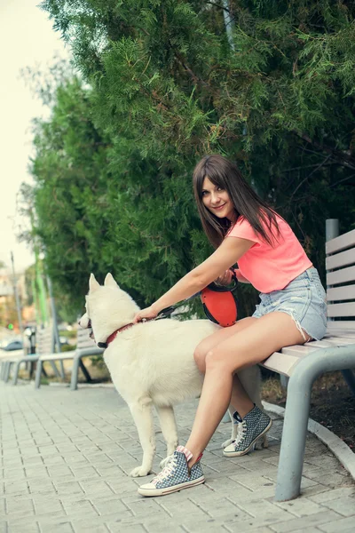 Junges Mädchen sitzt auf der Bank und spielt mit ihrem weißen Husky-Hund — Stockfoto