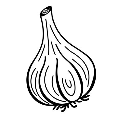 Sarımsak ikonu. Beyaz arka planda bir sebzenin izole bir çizimi. Sarımsak rengi, düz stil, karalama.